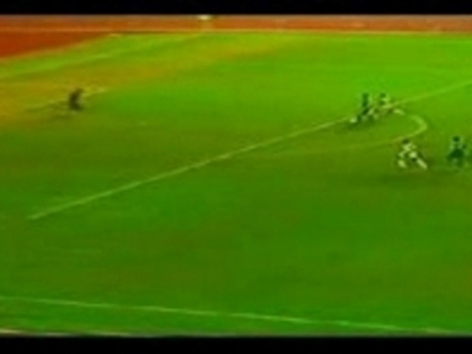 Goal Fellahi VS Gabon !! !!