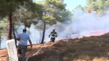 Sinop’ta çamlık alanda korkutan yangın
