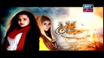 Behnain Aisi Bhi Hoti Hain Episode 278 & 279 - ARY Zindagi Drama