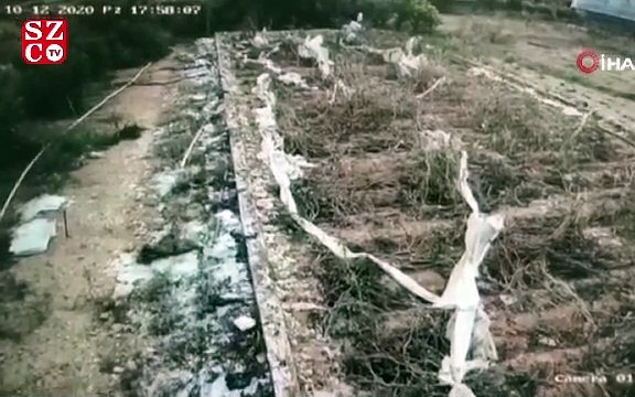 Girdikleri bahçeden 2 bin 500 TL değerinde avokado çalan 2 kardeş yakalandı