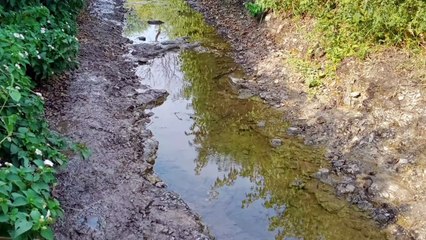 शासकीय रास्ते की भूमि पर हो रहा अतिक्रमण, मुक्त करने की ग्रामीण कर रहे है मांग