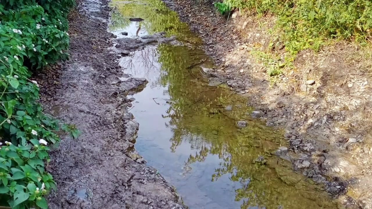 शासकीय रास्ते की भूमि पर हो रहा अतिक्रमण, मुक्त...