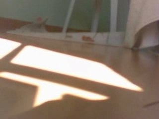 Shadow of the Colossus 2 E3 2006