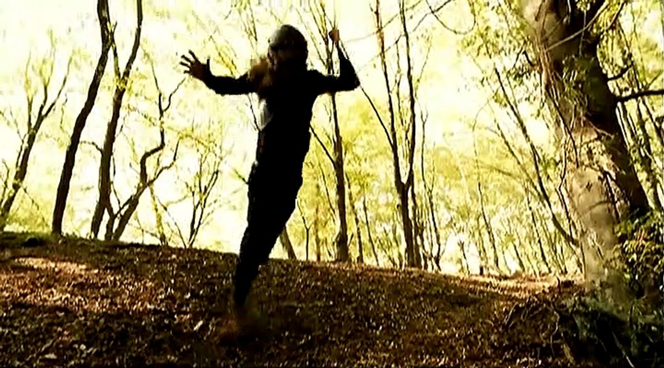 Dwk5 - die wilden kerle: hinter dem horizont making of video (2008)