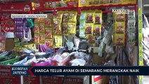 Harga Telur Ayam Di Semarang Merangkak Naik