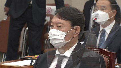 윤석열 "공수처, 공직자 수사만 한다고 잘 될지 의문" / YTN