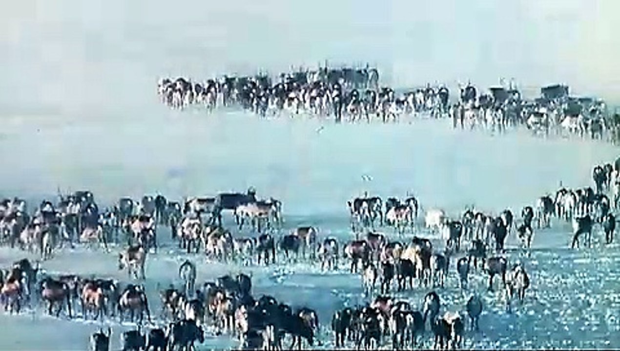 Der Weisse Planet Trailer (2006)