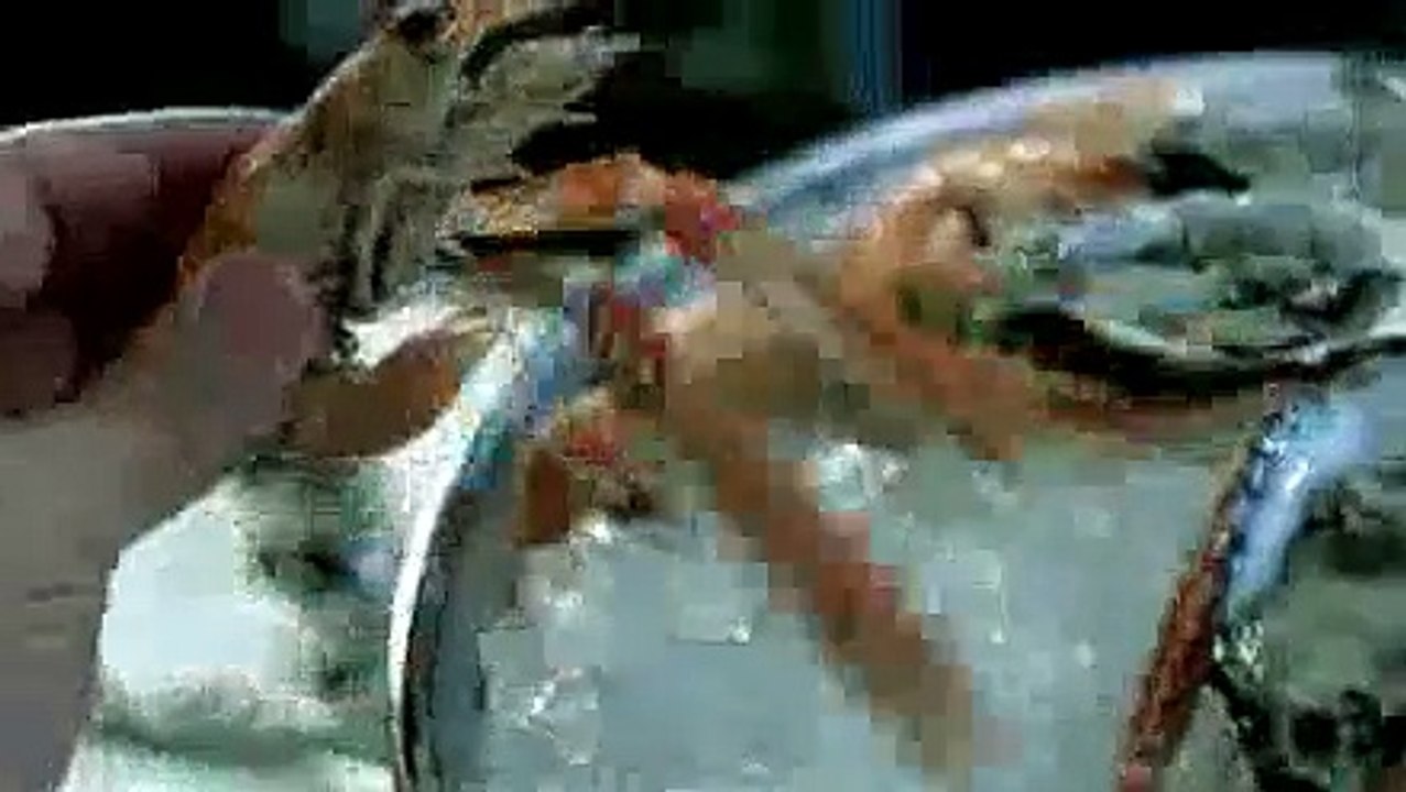 Trailer zu Mr Bean Macht Ferien (2007)