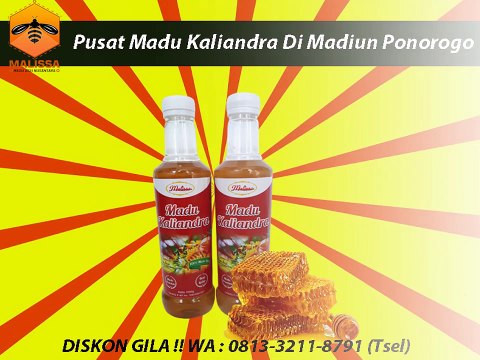 GROSIR !! WA : 0813-3211-8791 (Tsel)	Supplier Bunga Randu Di Madiun Ponorogo By MALISSA,