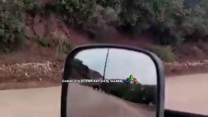 Κοπάδι με αγριογούρουνα κάνει βόλτες κοντά στη Λαμία