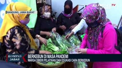Memanfaatkan Lahan Untuk Berkebun di Masa Pandemi