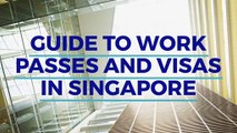 Guide to Work Passes and Visas in Singapore