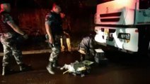 Polícia Militar prende motorista de caminhão com 114 quilos de maconha em meio a carga de soja