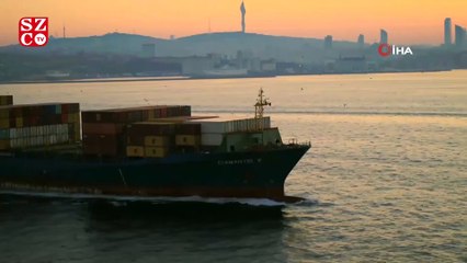 Yunusların dev gemilerle oyunu