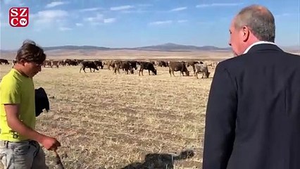 Muharrem İnce: Ben de zamanında çobanlık yaptım