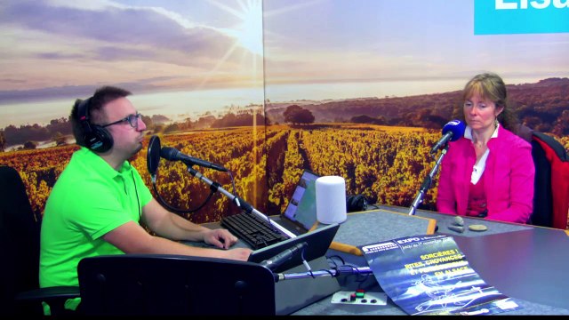 Le Musée du Pays de Hanau avec Laure Lickel - Das Museum vom Pays de Hanau mit Laure Lickel