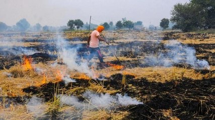 Punjab ground report: 280% rise in stubble burning since 2019