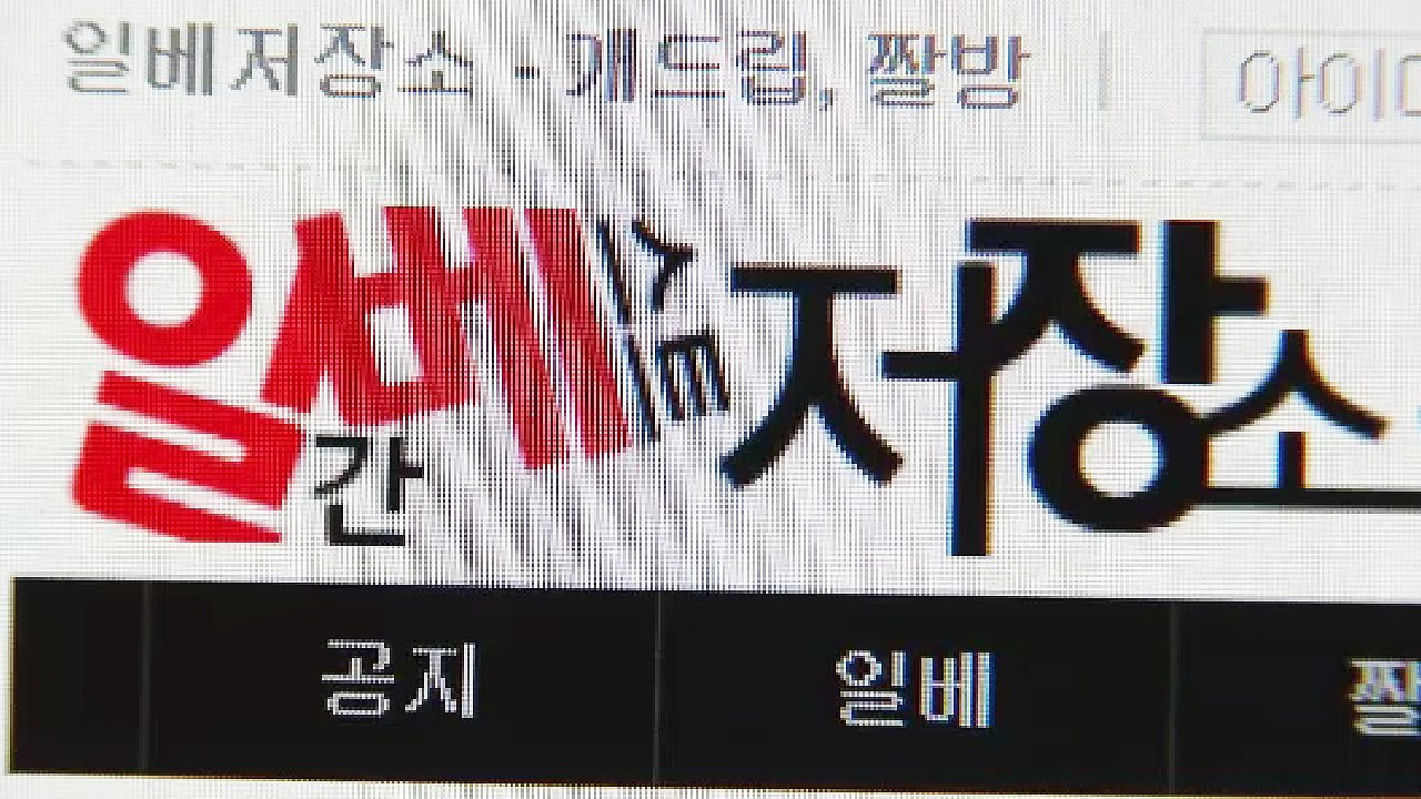 '일베' 커뮤니티에 아동 성 착취물...경찰, 유포자 추적 / YTN