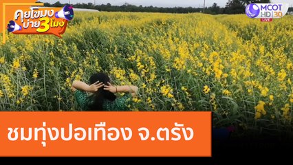 ชมทุ่งปอเทือง จ.ตรัง [15 ต.ค. 63] คุยโขมงบ่าย 3 โมง | 9 MCOT HD