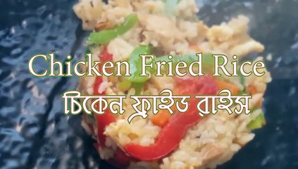 রেষ্টুরেন্ট স্টাইলের ফ্রাইড রাইস EASY Chicken Fried Rice