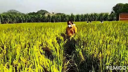 किसानों को किया गया जागरूक