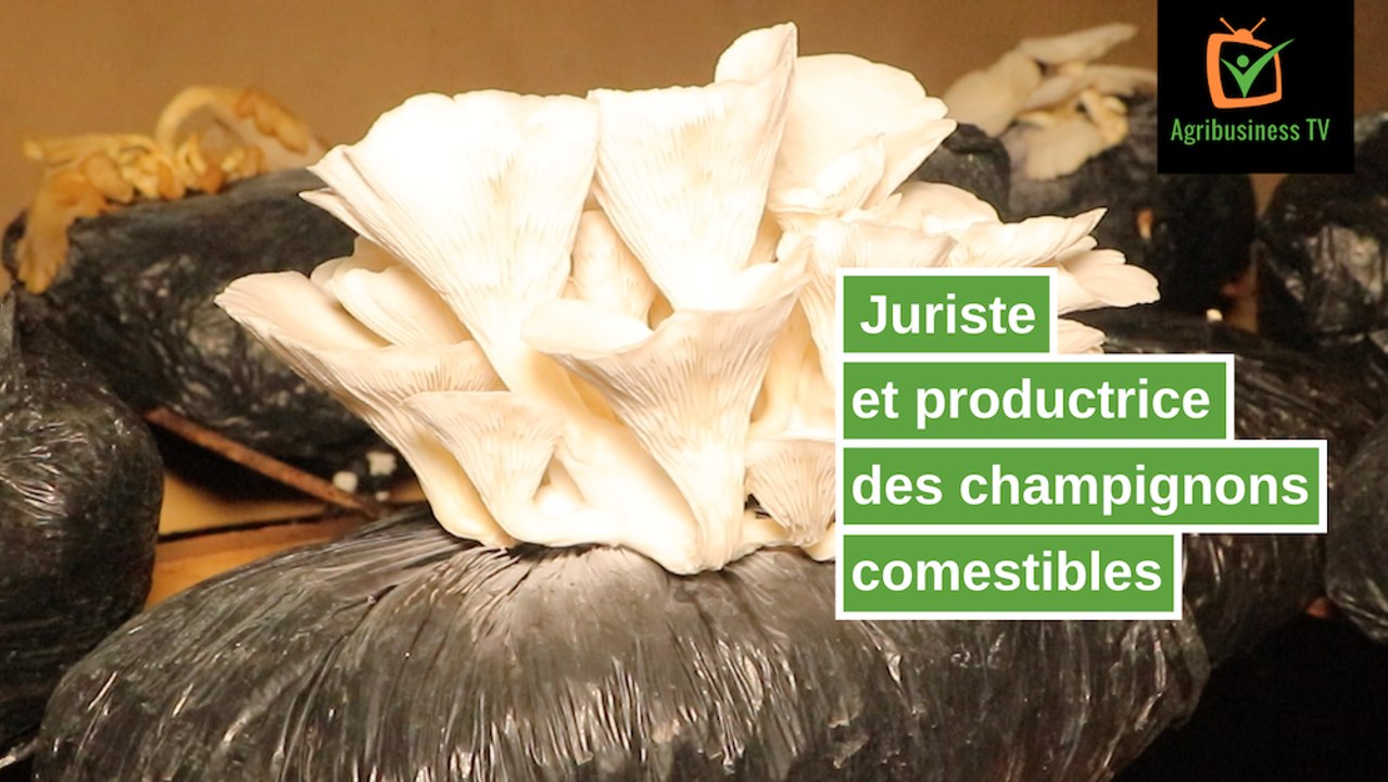 Burkina Faso : Juriste et productrice des champignons comestibles
