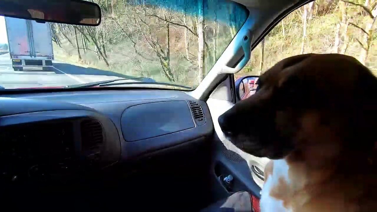 SOUL PURSUIT MOVIE TRAILER - Eric Roberts - Noel G - Eliza Roberts