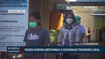 Update Corona NTT (Kamis, 15/10): Pasien Corona Bertambah 8 Didominasi Transmisi Lokal