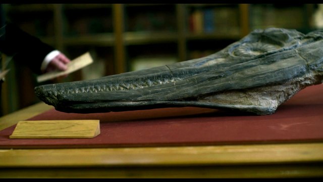 Ammonite - Trailer - Kate Winslet, Saoirse Ronan