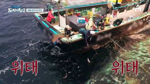 ★도시어부 역대급 삼치 등장★ 태곤을 흥분시킨 삼치의 길이는?!