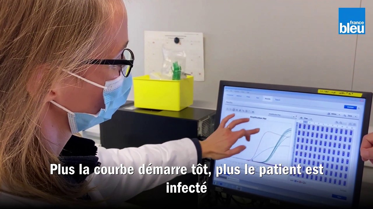 Analyse de tests PCR Covid au laboratoire départemental d'analyse de la Dordogne