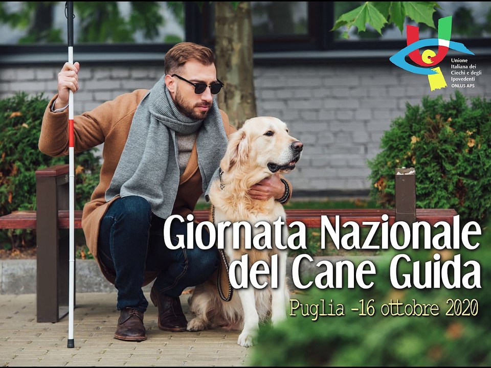 Il 16 ottobre è la "Giornata Nazionale del Cane Guida". Un video per riconoscenza e affetto verso questi preziosi amici a 4 zampe