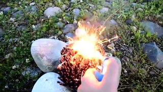 Amazing, Experiment ,Fidget Spinner  ,1000 Sparklers