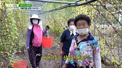 어디서든 붙어 다니는 새울마을 삼총사?!