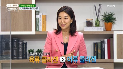 육류 콜라겐 vs 어류 콜라겐