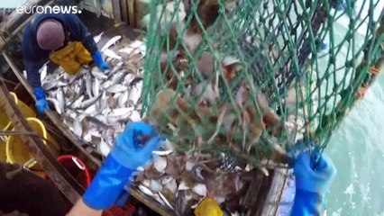 Cimeira da UE debate eventual não acordo no Brexit