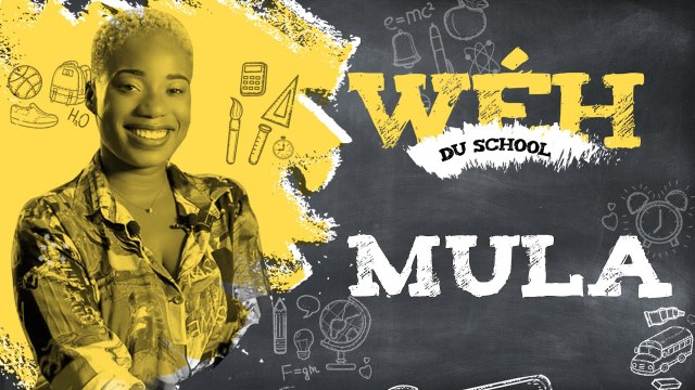 ON SE MOQUAIT DE MOI À CAUSE DE MA COIFFURE TOUR DE BABEL - MULA