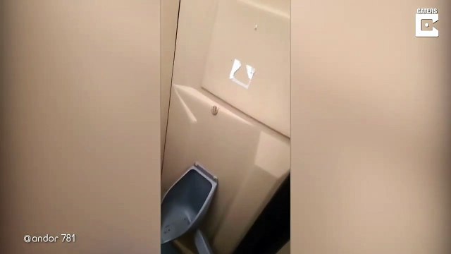 Il découvre une grenouille dans des toilettes publiques