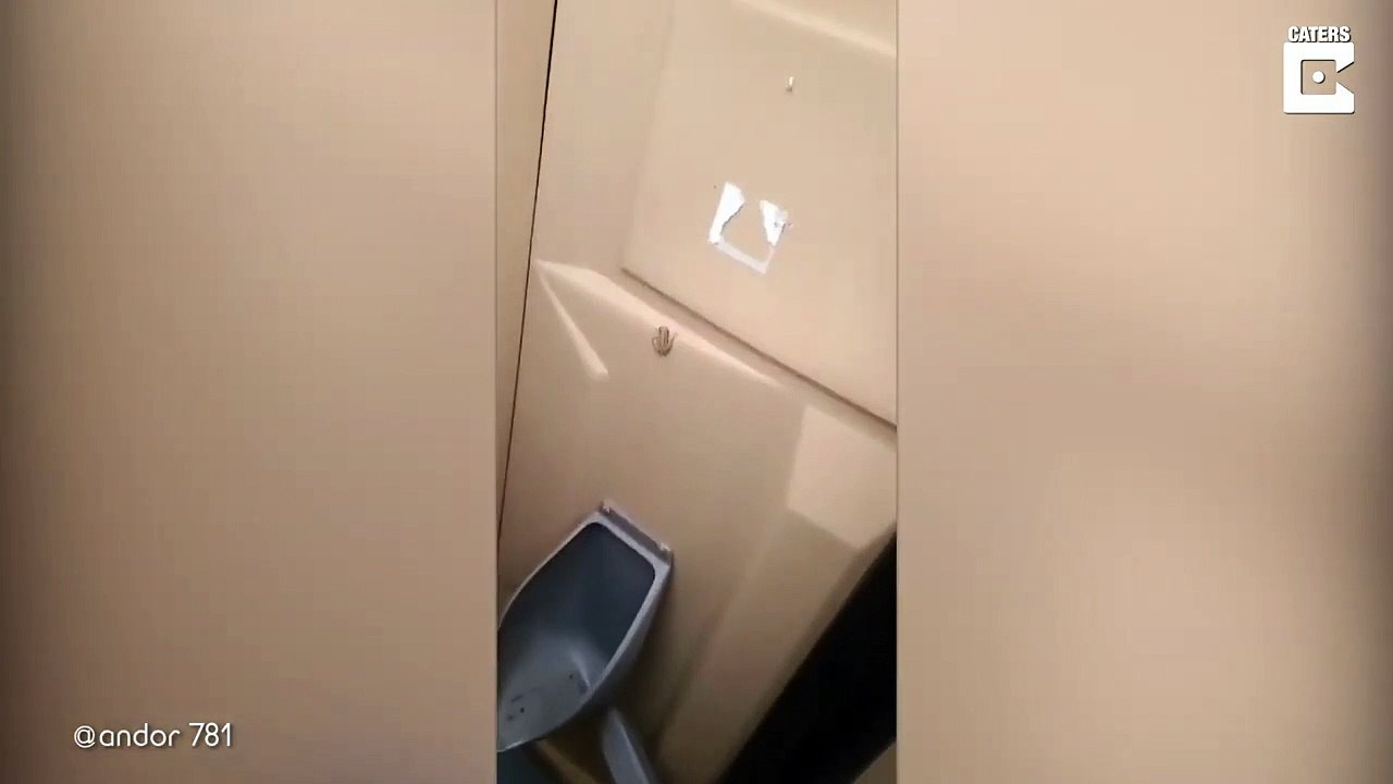 Il découvre une grenouille dans des toilettes p...