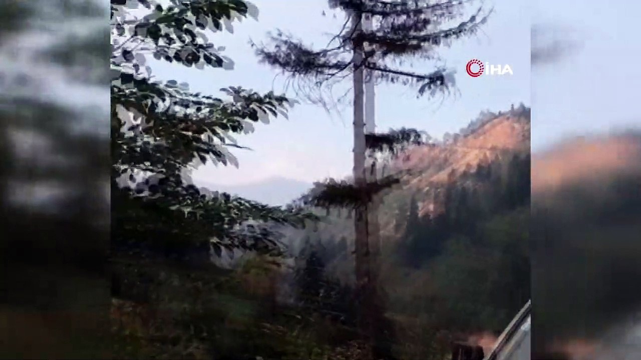 Artvin’in Murgul ilçesinde örtü yangını