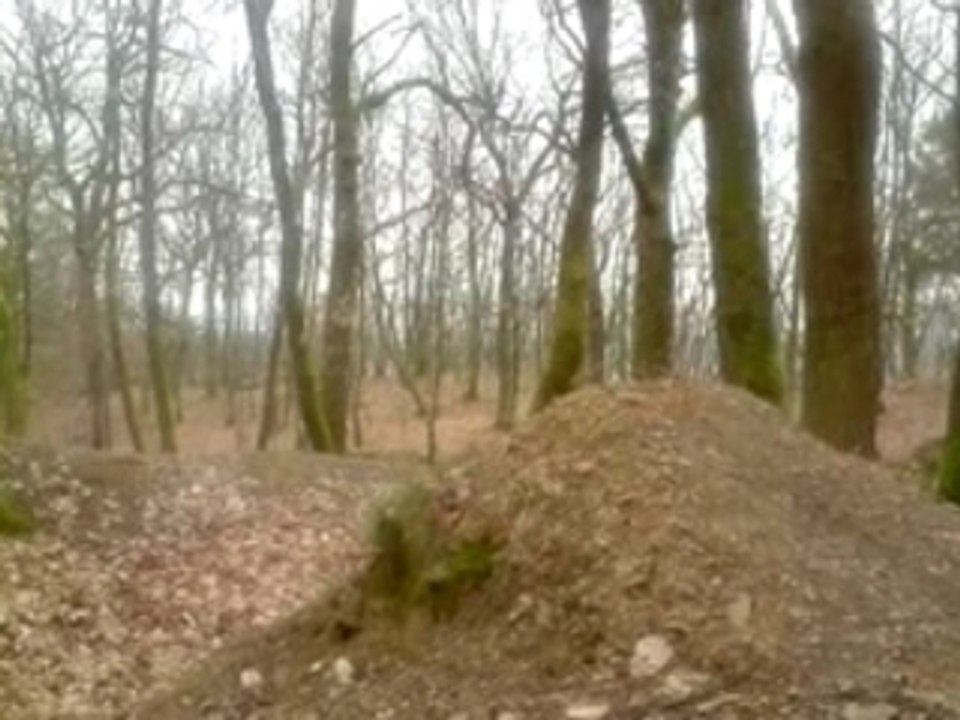 salbert