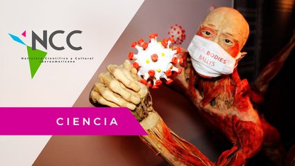 Las Ve­gas inau­gu­ra ex­hi­bi­ción de “Real Bo­dies” y los efec­tos de la CO­VID-19