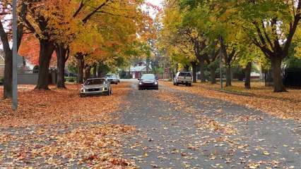 Driver Looking for Photo Shoot Startles Passing Cyclist