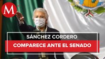 Estoy al servicio de la Patria, no de un patriarca: Sánchez Cordero ante diputados