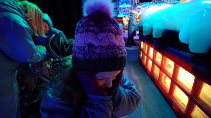 FROZEN in FLORIDA! Fun Family Three Vacation Vlog