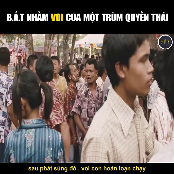 Tóm Tắt Phim Người Bảo Vệ - The Protector (2005)