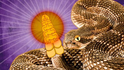 How rattlesnakes tails make a rattling sound