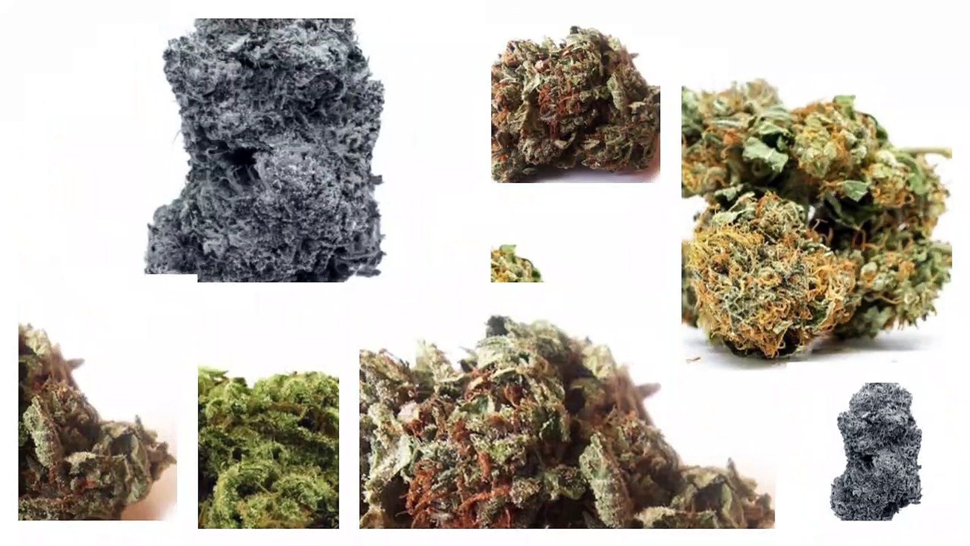 Marijuana for sale online