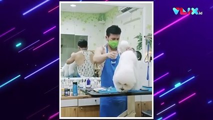 Kasihan Anjingnya! Groomer Kasar Sampai Dilempar ke Lantai