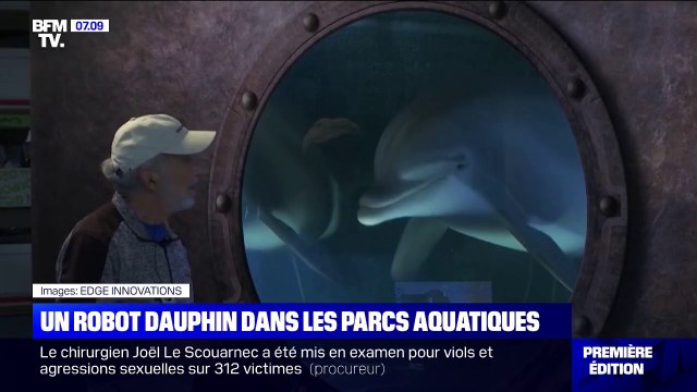 Aux États-Unis, un robot dauphin dans les parcs aquatiques